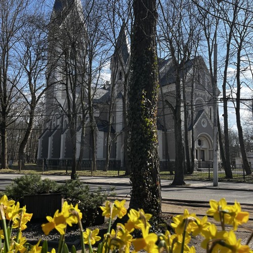 Современный взгляд на Амалиенау