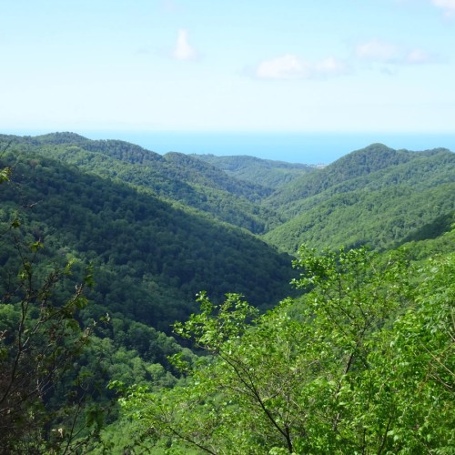 Перезагрузка в горах и на море в мини-группе