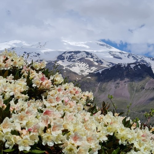 Палитра впечатлений на Кавказе: Кисловодск, Приэльбрусье, Домбай