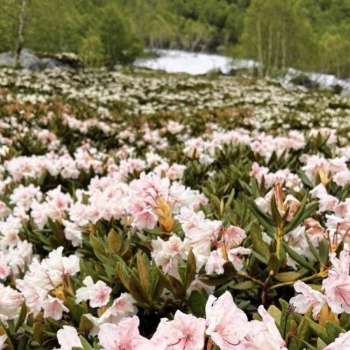 Пешком налегке: исследуем природные красоты Архыза