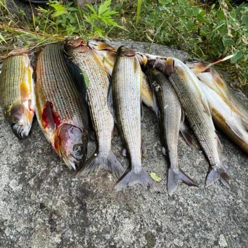 Богатство Байкала: рыбалка на реках и в диких местах на озере с катера