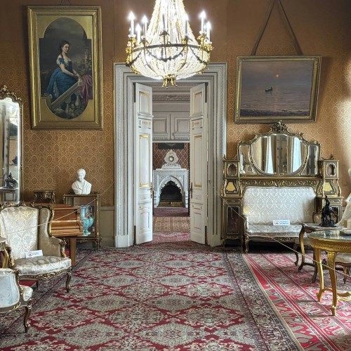 Экскурсия по Владимирскому дворцу — Дому учёных