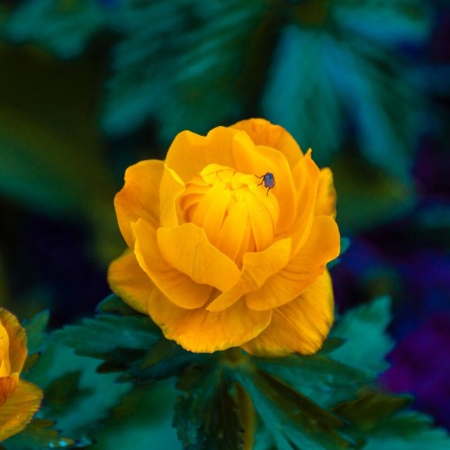 Джип-путешествие к священному озеру Манас