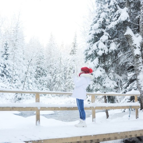 В экопарк «Долина водопадов» и музей «Кирьяж» — из Петербурга