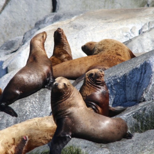 Колымские приключения: Магадан и окрестности в формате «всё включено»