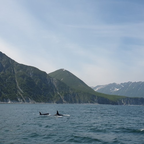 Джип-тур по Камчатке в мини-группе в июне: океан, морская прогулка, дегустации и экскурсии на выбор