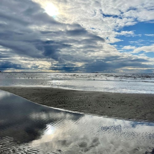 Из Петербурга в Комарово: обитель муз и гениев (в уютной мини группе)