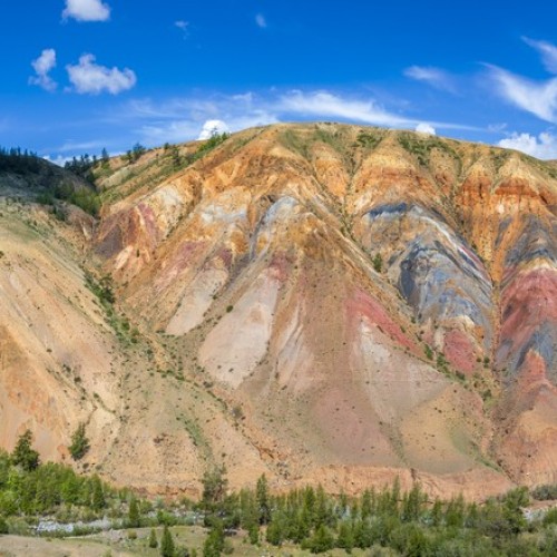 Приехать на Алтай, увидеть цветение маральника и оказаться на Марсе
