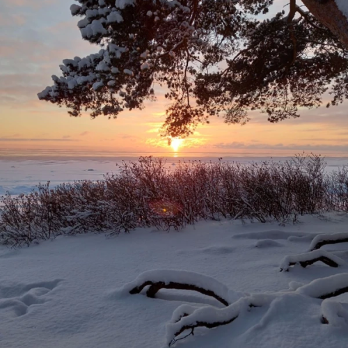 Из Петербурга в Комарово: обитель муз и гениев (в уютной мини группе)