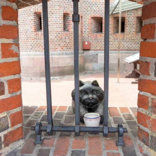 Отпуск в Калининграде и Светлогорске с экскурсиями на выбор