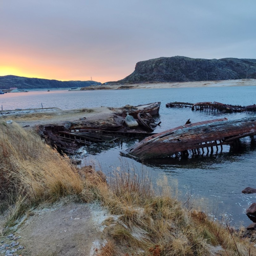 Экспресс-путешествие в Арктику: Мурманск, Териберка и Кировск, северное сияние и милые олени