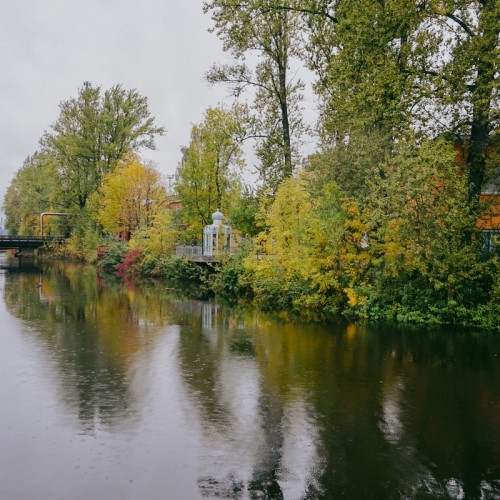 Остров мельника Матиса — в Петербурге