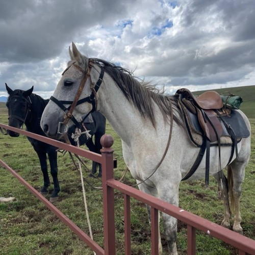 Всё лучшее на Кавказе — для вас: топ-локации, кухня, отдых на источниках, конная прогулка, рыбалка