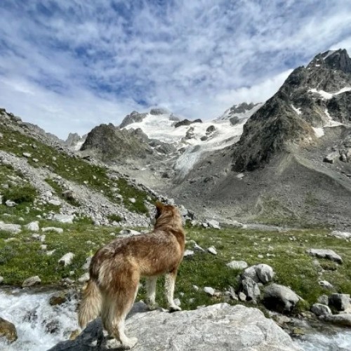 Комфортный треккинг в Приэльбрусье в мини-группе