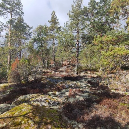 Вода, скалы и чистейший воздух: горный парк «Рускеала» и «Ладожские шхеры»