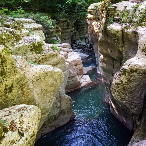 Лёгкий треккинг в субтропиках с проживанием в гостинице в Адлере