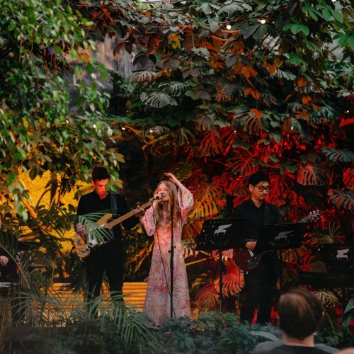 Концерт в оранжерее Таврического сада