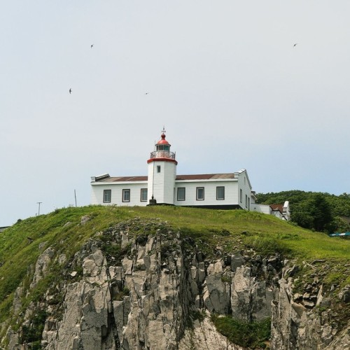 Гастрономическое путешествие в русский Сан-Франциско