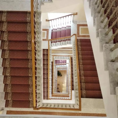 Из Петербурга — в Константиновский дворец в группе