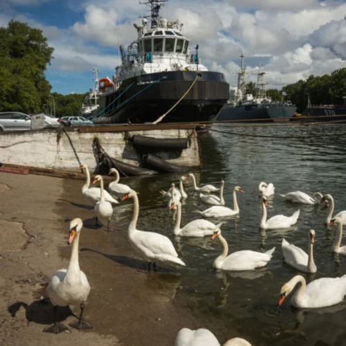 Отпуск в Калининграде и Светлогорске с экскурсиями на выбор