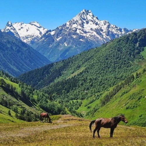 В горы — от суеты и забот: треккинг в Архызе без рюкзаков
