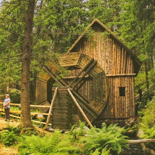 Лучшие впечатления от Карелии: крепость, водопады, хаски и музей в скале