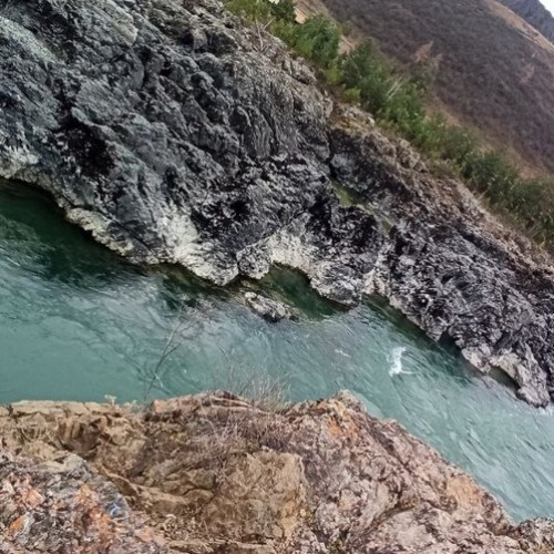 Сиреневые горы, Алтай и май: главные места во время цветения маральника в мини-группе (всё включено)