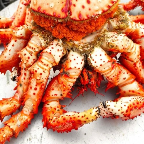 Большое путешествие по островам: Сахалин и Итуруп, Кунашир и Шикотан