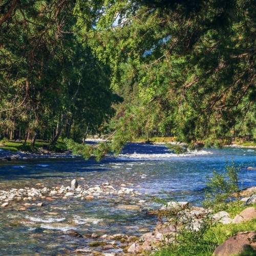 Автотур по весеннему Алтаю: фиолетовые горы и места силы