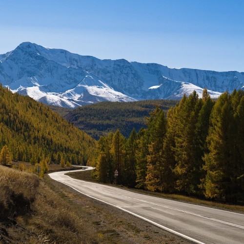 Загадки Алтая: тур с погружением в культуру и исследованием тайн (всё включено)
