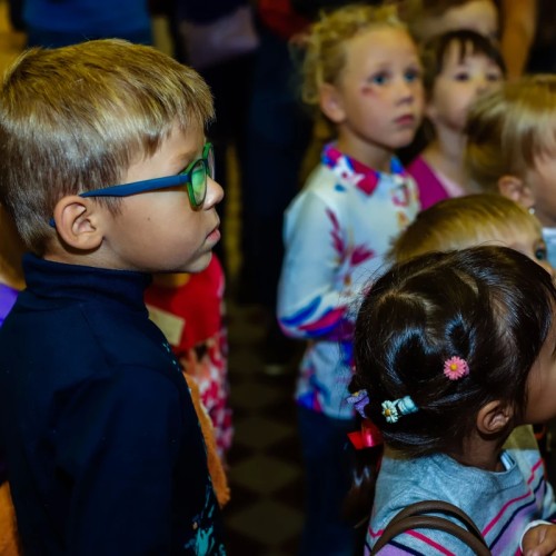 Зоологический музей для детей и взрослых