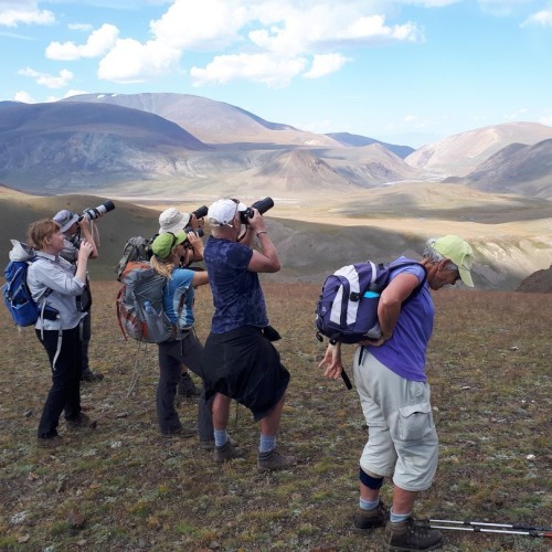 Наедине с Алтаем: высокогорные озёра, живописные долины и неземной ландшафт (всё включено)