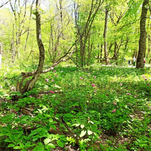 Путешествие в Адыгею: от пещер до самых до вершин