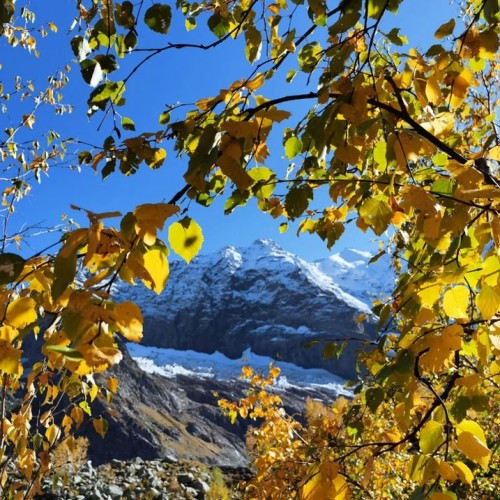 Лёгкий треккинг в горах Домбая с комфортом