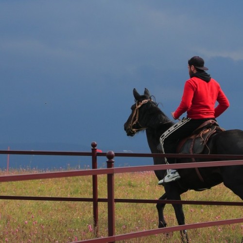 Всё лучшее на Кавказе — для вас: топ-локации, кухня, отдых на источниках, конная прогулка, рыбалка