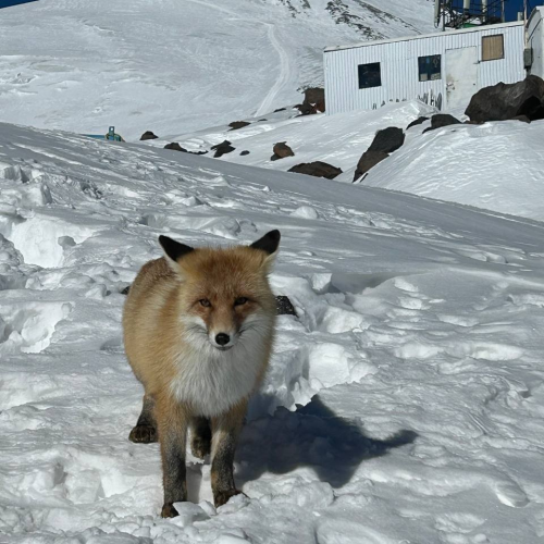 Джип-выезд по-кавказски: Домбай, Приэльбрусье, Безенги в мини-группе