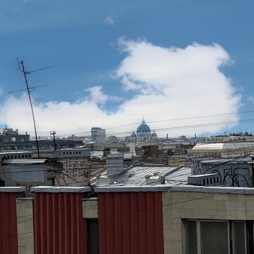 Комбо-экскурсия: обзорная на крыше + парадные и дворы-колодцы