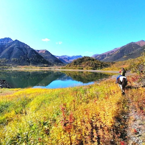 Камчатский максимум: конные прогулки, джипы, вулканы и рыбалка в Тихом океане