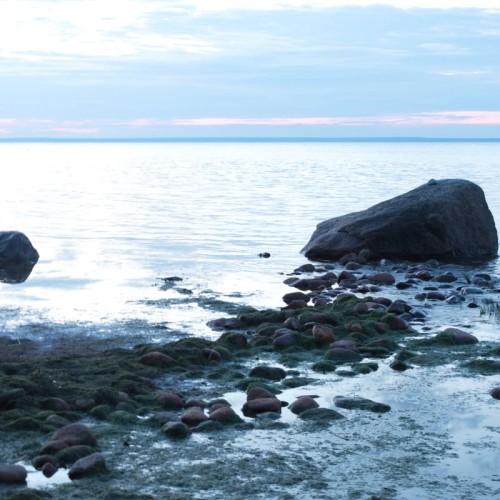 К форту «Красная горка» и «Андерсенграду» — из Петербурга