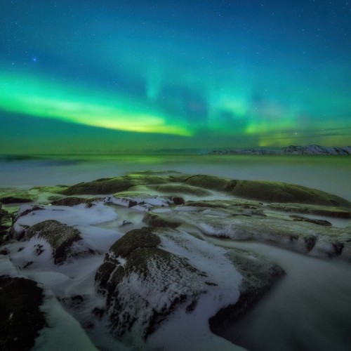 Новогодний отпуск в Териберке с праздничным ужином, арктическими блюдами и морскими деликатесами