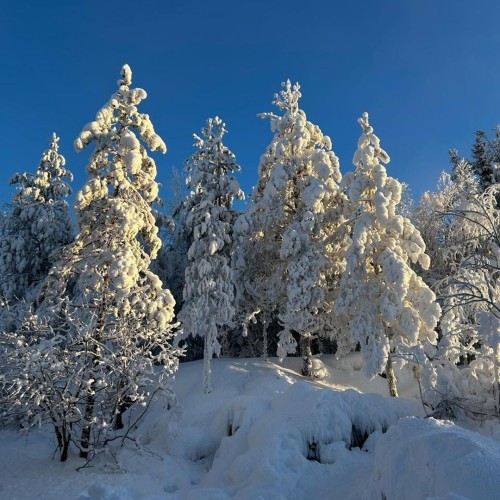 От каменного века до викингов, от Кижей до Рускеалы: индивидуально по Карелии