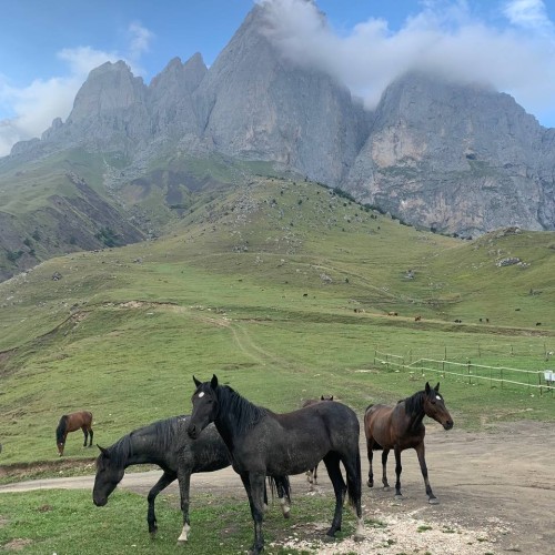 Таинство Ингушетии: треккинг налегке с восхождением на Столовую гору