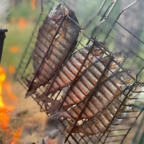 За трофеями на Байкал с местными: рыбалка с катера, катамарана и на реках