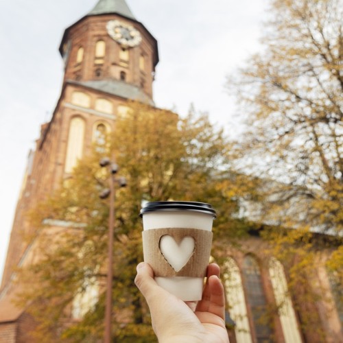 Калининград и всё побережье от Куршской косы до Балтийска индивидуально