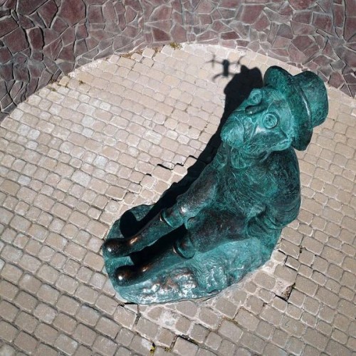 Боровский край в шести веках