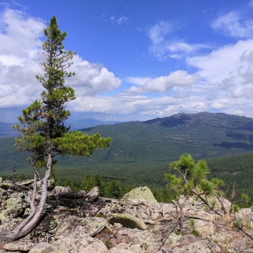 Индивидуальный поход на Кутурчинское Белогорье: причудливые скалы и кедровая тайга (всё включено)