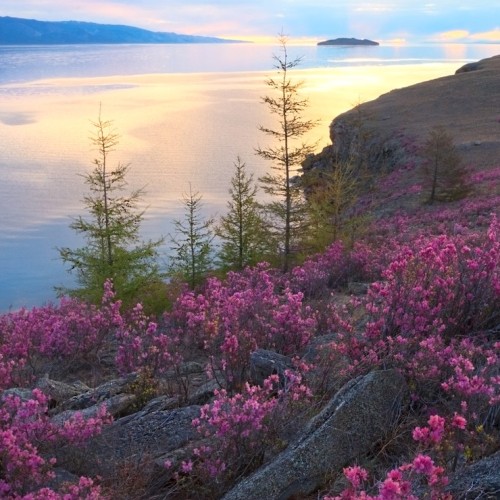 Тёплый отпуск на Байкале: Тажераны и Ольхон в мини-группе