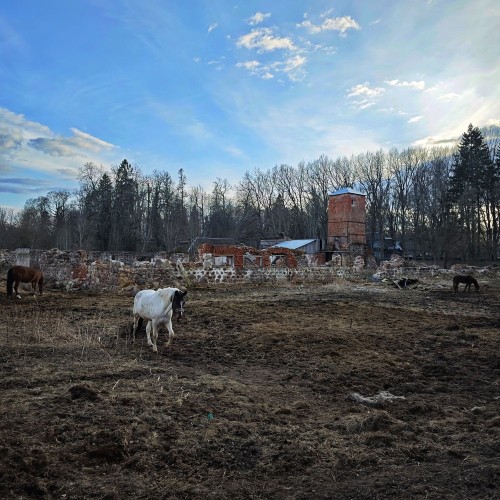 Путешествие-перезагрузка на юг Ленобласти
