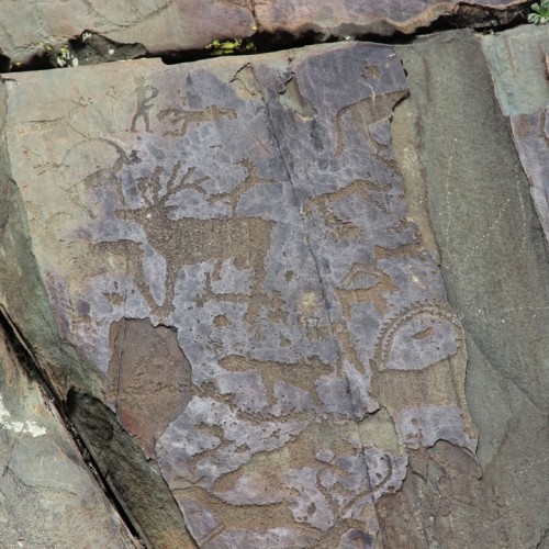 Комфорт-тур на Алтай с фотографом: полёт на вертолёте, парение и главные места (всё включено)