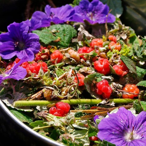 Домбай и Архыз: треккинг налегке с проживанием в гостинице